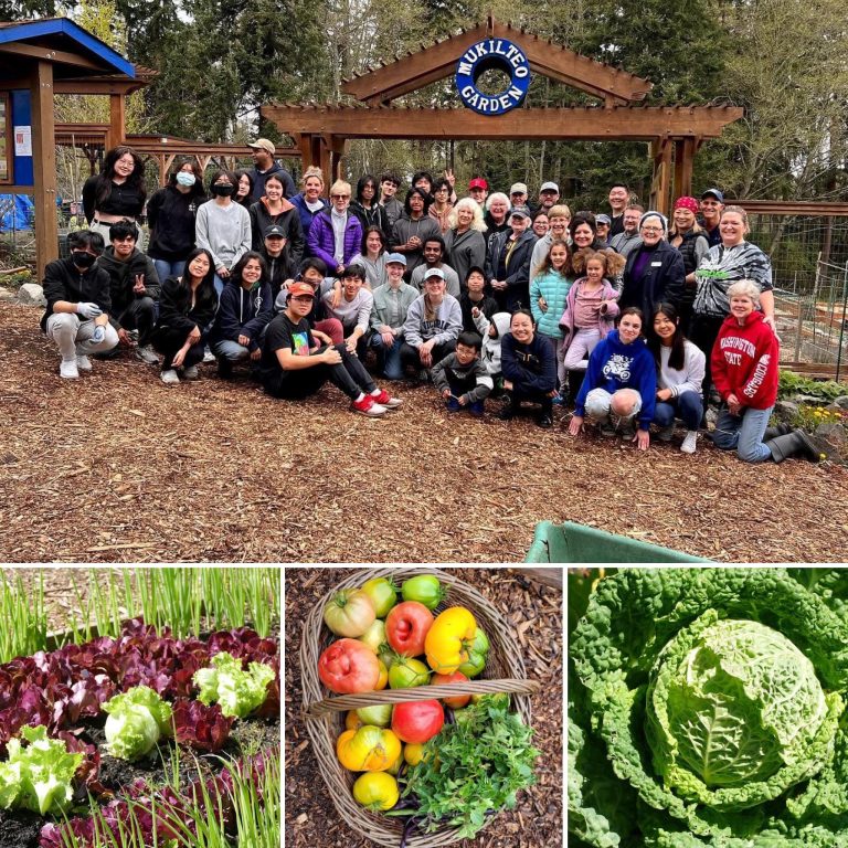 Community Garden Clean-Up